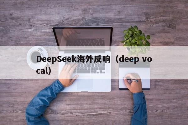 DeepSeek海外反响（deep vocal）
