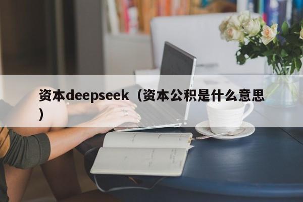 资本deepseek（资本公积是什么意思）