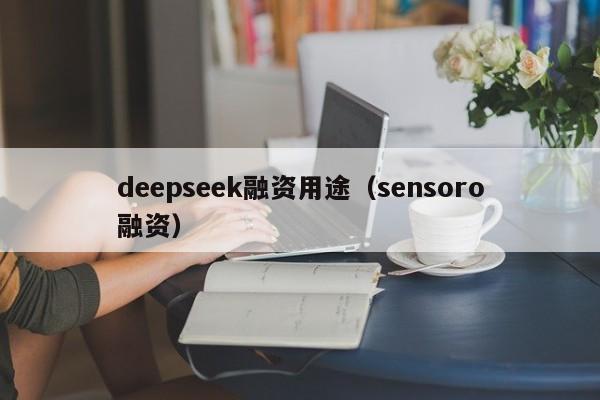 deepseek融资用途（sensoro融资）