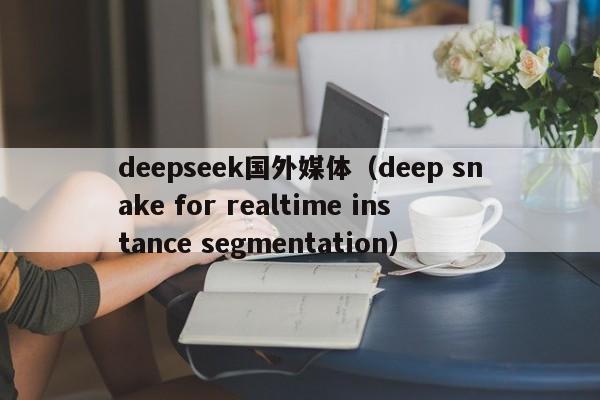 deepseek国外媒体(deep snake for realtime instance segmentation)
