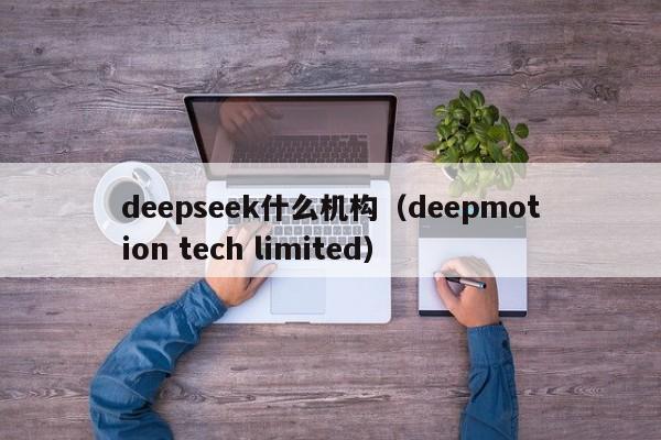 deepseek什么机构(deepmotion tech limited)
