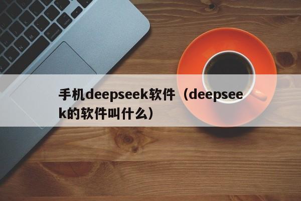 手机deepseek软件（deepseek的软件叫什么）
