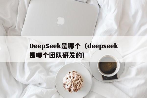 DeepSeek是哪个（deepseek是哪个团队研发的）