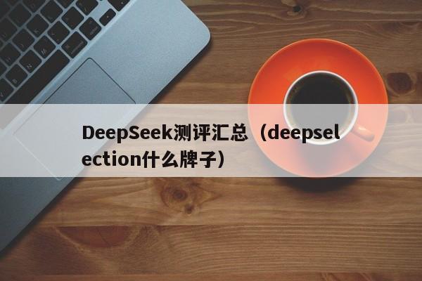 DeepSeek测评汇总(deepselection什么牌子)