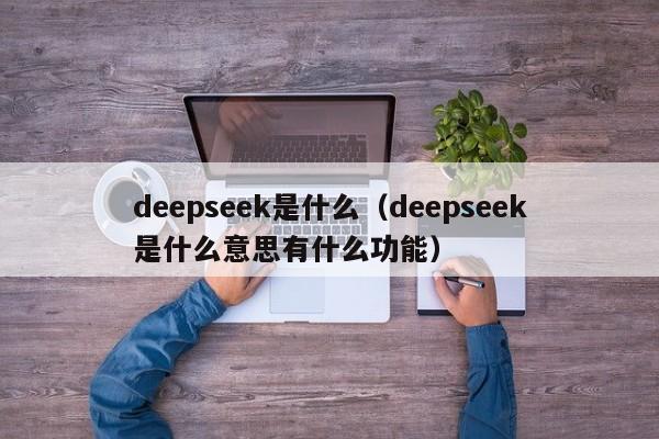 deepseek是什么（deepseek是什么意思有什么功能）