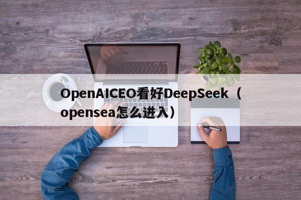 OpenAICEO看好DeepSeek（opensea怎么进入）