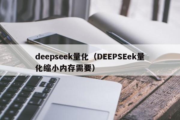 deepseek量化（DEEPSEek量化缩小内存需要）